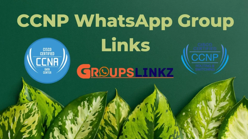 CCNP-WhatsApp-Group-Links